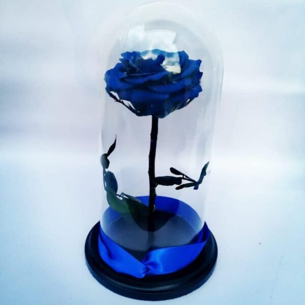 Rosa preservada + Detalle - Imagen 4