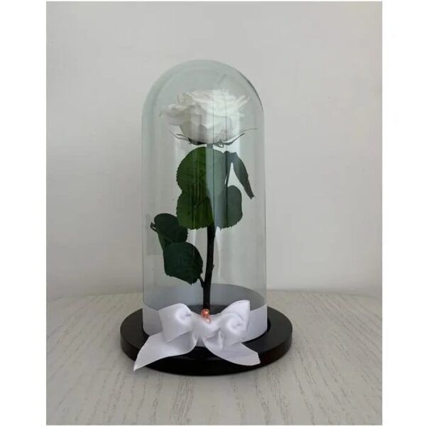 Rosa preservada + Detalle - Imagen 5